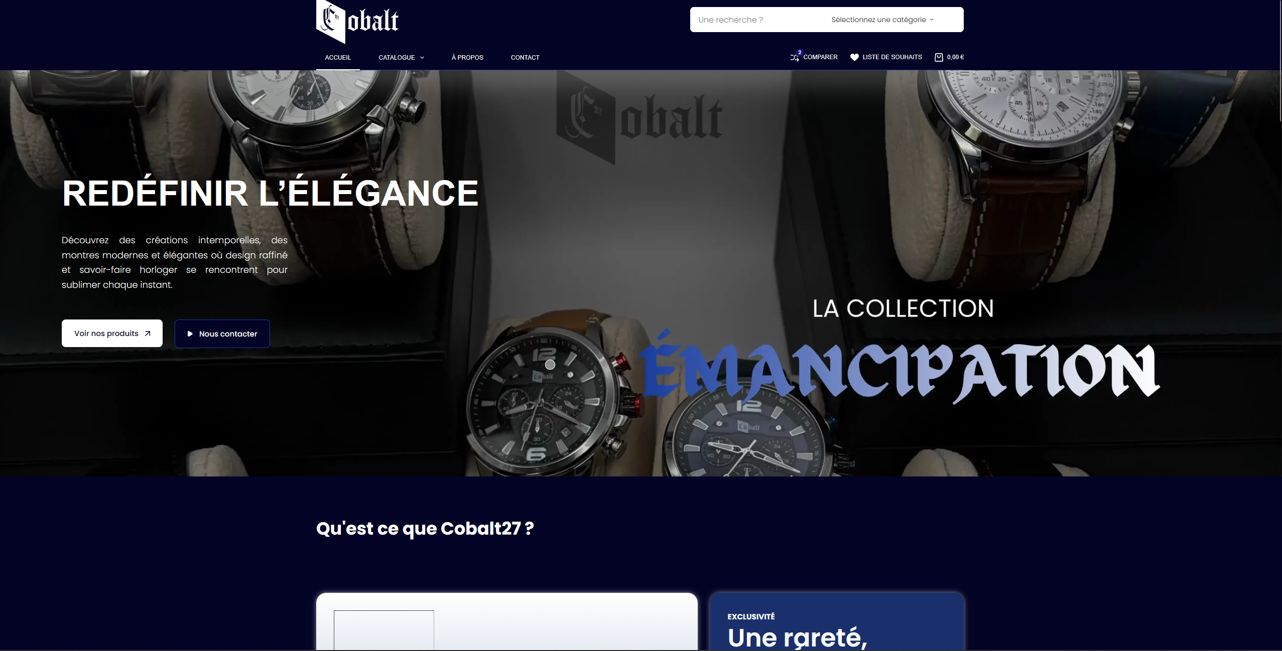 Projet Cobalt 27